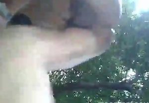Cachorro come o cu do dono com força