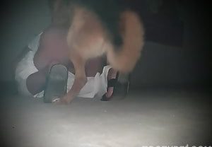 Homem transa com cachorro e goza dentro do cu do animal