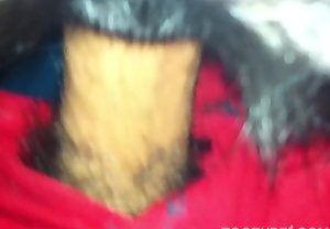 Boquete e foda com cachorro gay