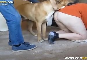 Marido manda o cachorro comer a esposa com força