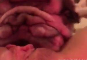 Mulher dá a buceta para buldogue gordo chupar