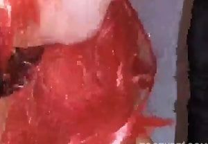 Mulher exibida fazendo boquete em cachorro