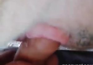 Jovem transa com cadela no cio em vídeo amador