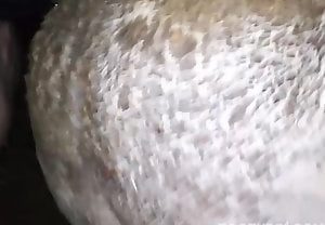 Vaca dando muito leite em transa intensa e safada