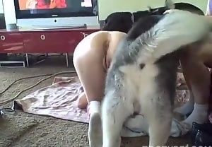 Mulher dando o cu para um cavalo roludo e bem dotado