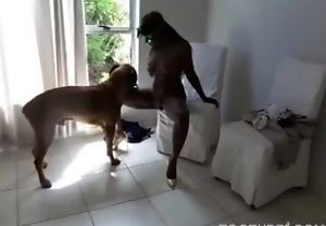 Mulher transando com cachorro de pau enorme