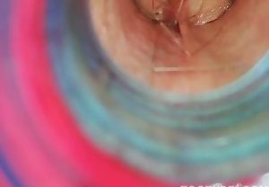 Mulher transa com cachorro e goza gostoso em vídeo caseiro