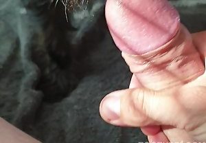 Gay adora meter no cu do cachorro