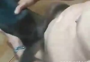 Homem faz cachorrinho chupar seu pau