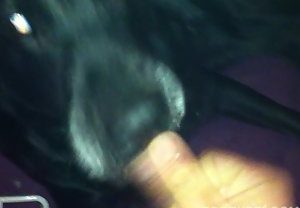Homem enche a boca da cadela de gozo