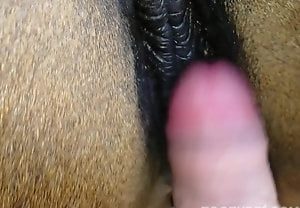 Homem mete na buceta da égua safada