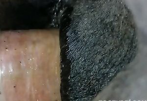 “Homem mete no cu de um cavalo em cena de sexo animal”