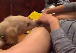 “Deixei meu cachorro chupar minha buceta”