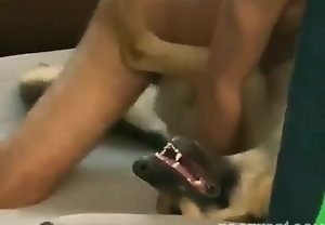 Sexo quente com a cachorrinha da família