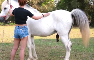 Novinha safada acaricia o pau do cavalo com tesão