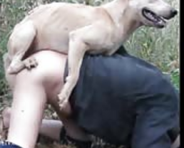 Machucado oferece o cu para cachorro fuder sem dó