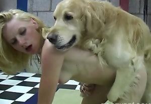 Golden retriever fode a buceta da loira gostosa sem dó